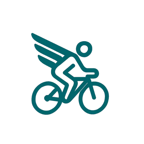 Cycling Fly Logo